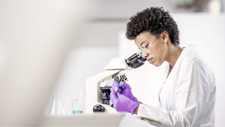 Imagen de Investigación y Desarrollo